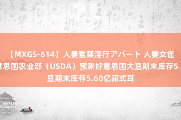 【MXGS-614】人妻監禁淫行アパート 人妻女雀士 雪菜 好意思国农业部（USDA）预测好意思国大豆期末库存5.60亿蒲式耳