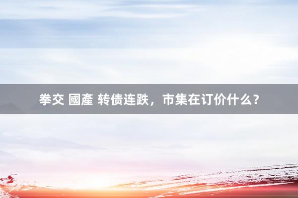 拳交 國產 转债连跌，市集在订价什么？