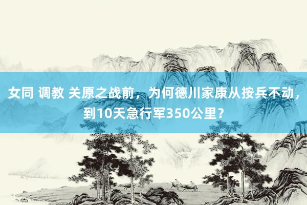 女同 调教 关原之战前，为何德川家康从按兵不动，到10天急行军350公里？