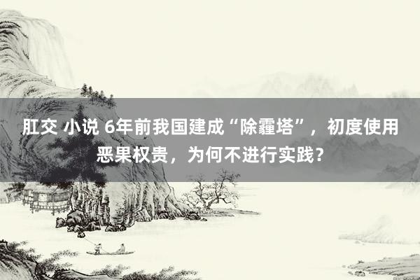 肛交 小说 6年前我国建成“除霾塔”，初度使用恶果权贵，为何不进行实践？