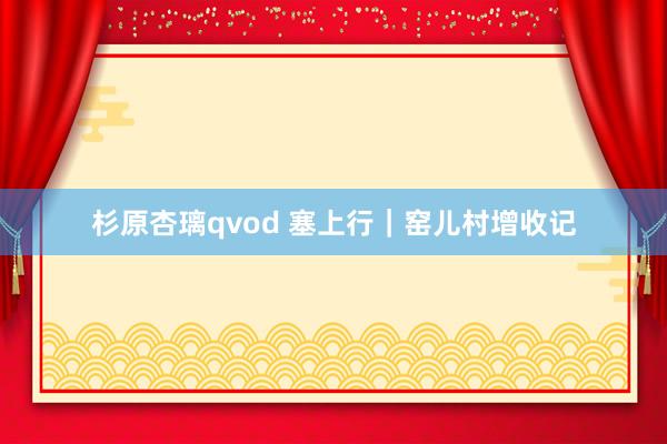 杉原杏璃qvod 塞上行｜窑儿村增收记