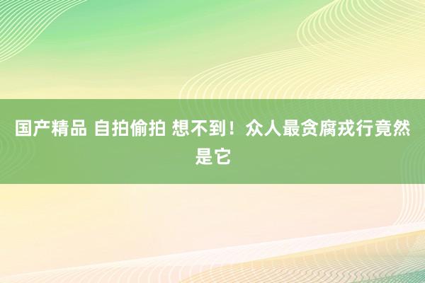 国产精品 自拍偷拍 想不到！众人最贪腐戎行竟然是它