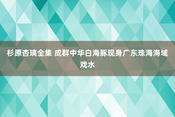 杉原杏璃全集 成群中华白海豚现身广东珠海海域戏水